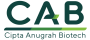 cropped-new-cab-logo-resized.png